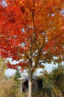 E38394E383B3E382AAE383BCE382AF-thumbnail2