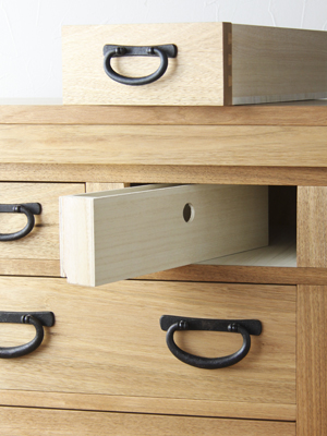 cabinet_0110_12_400px